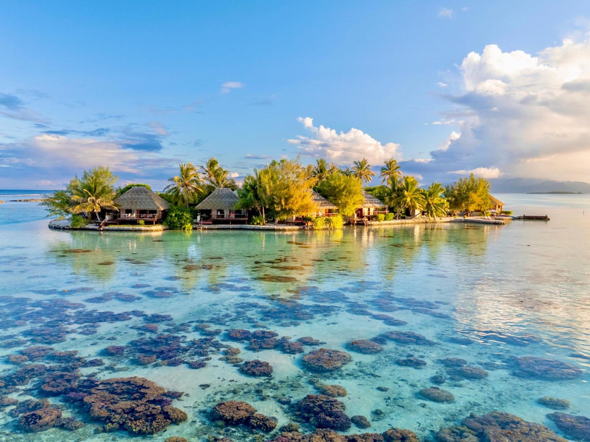 Eden Private Island Tahaa Hotel Patio  Ngoại thất bức ảnh
