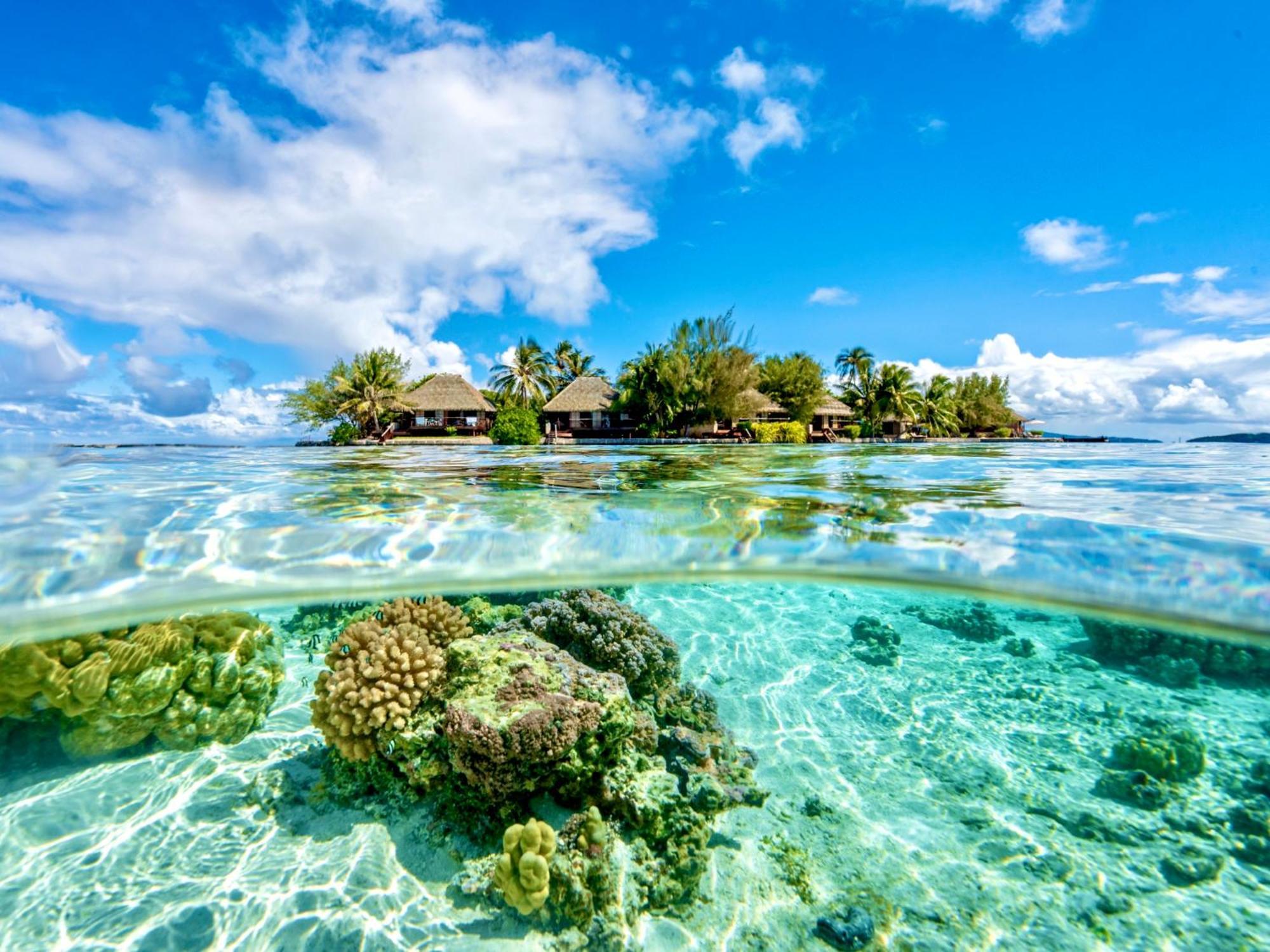 Eden Private Island Tahaa Hotel Patio  Ngoại thất bức ảnh